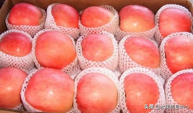 揭秘各种水果批发的价格,批发市场卖水果的技巧