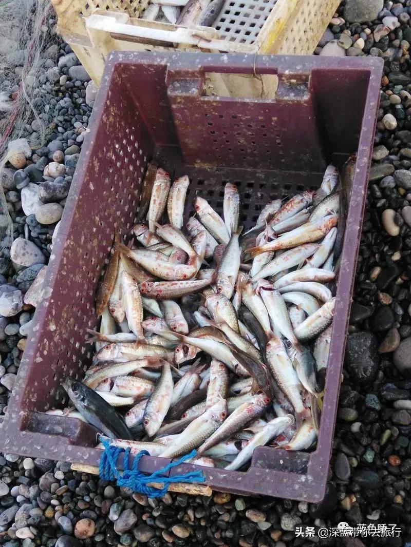 格鲁吉亚黑海旅游攻略,格鲁吉亚夜晚旅行