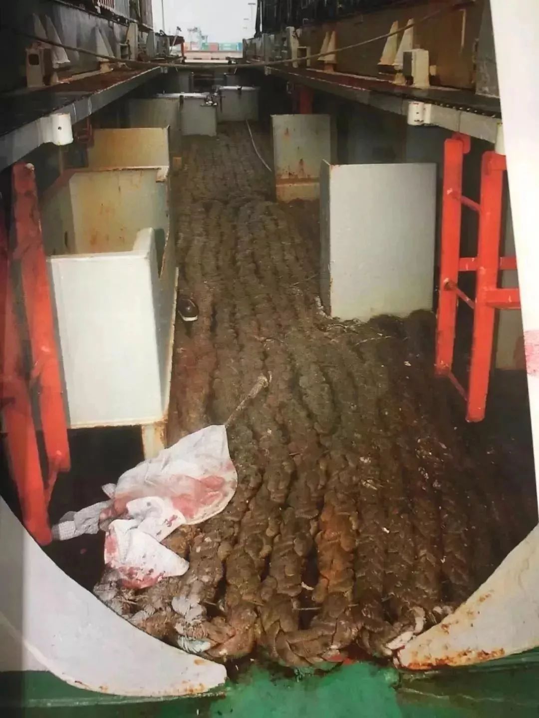 水手坠海身亡真相,海上船员被杀真实事件