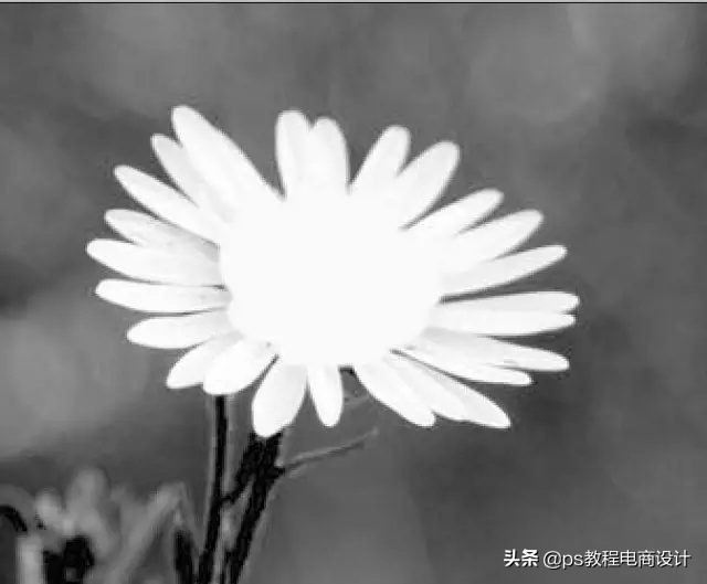 快速抠图ps人物头发,2021版ps快速抠图