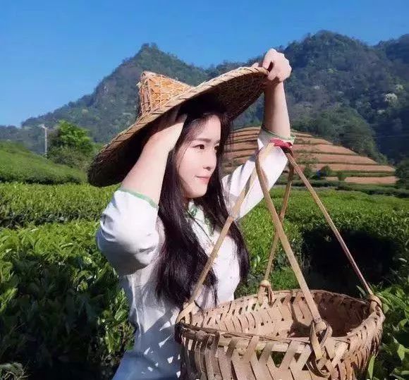 中国十大贵的茶叶,中国最贵十种茶