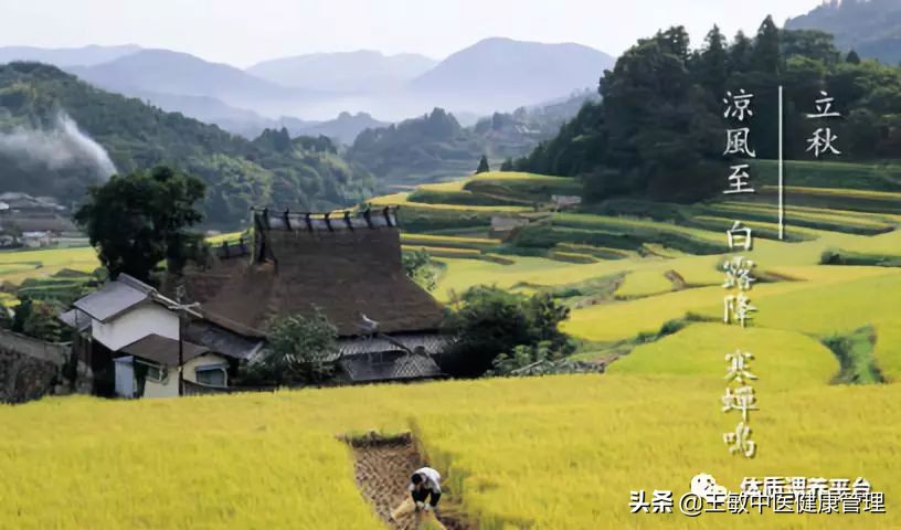 立秋节气养生养心养肺,立秋养生直播间
