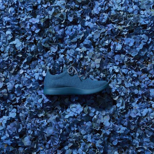 看了一双鞋子不舍得买,看了一双600的鞋没舍得买