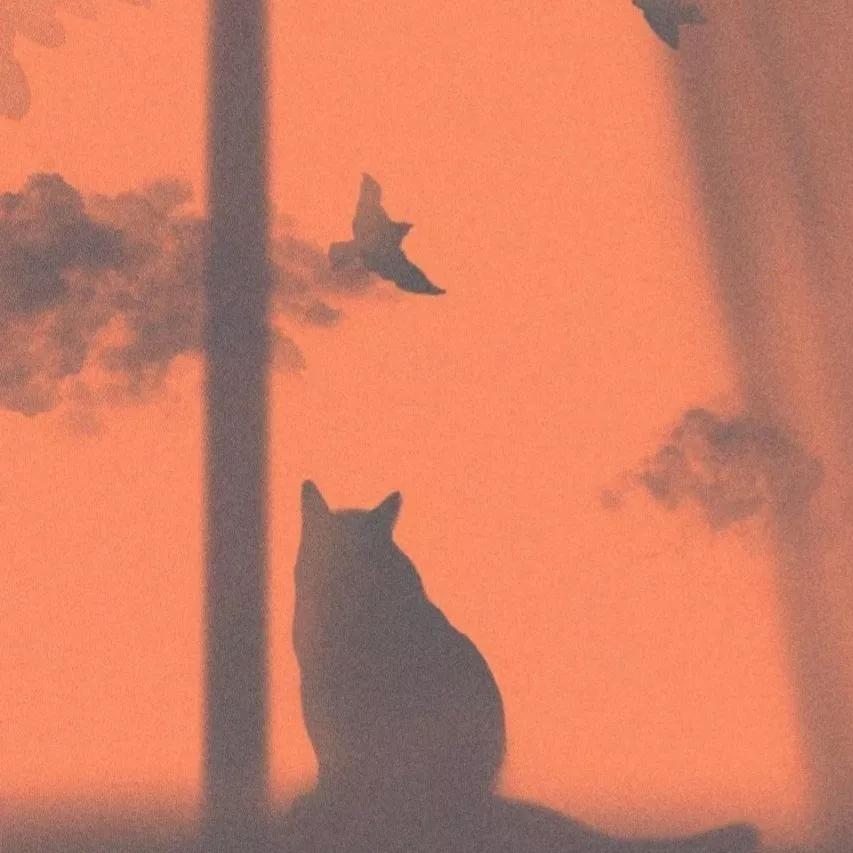 小众文案短句干净,生活小众文案高级有深度