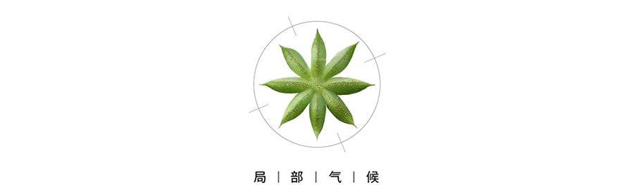 你便秘的原因终于找到了！