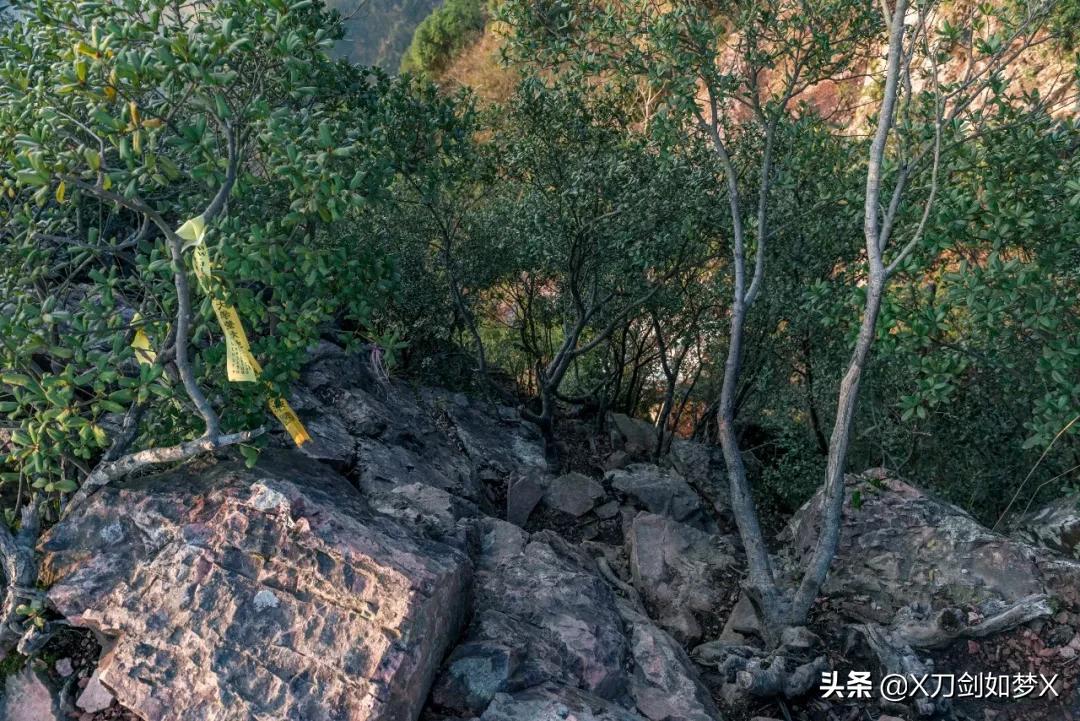 沪外游集：“华东香格里拉”-公盂村春季徒步