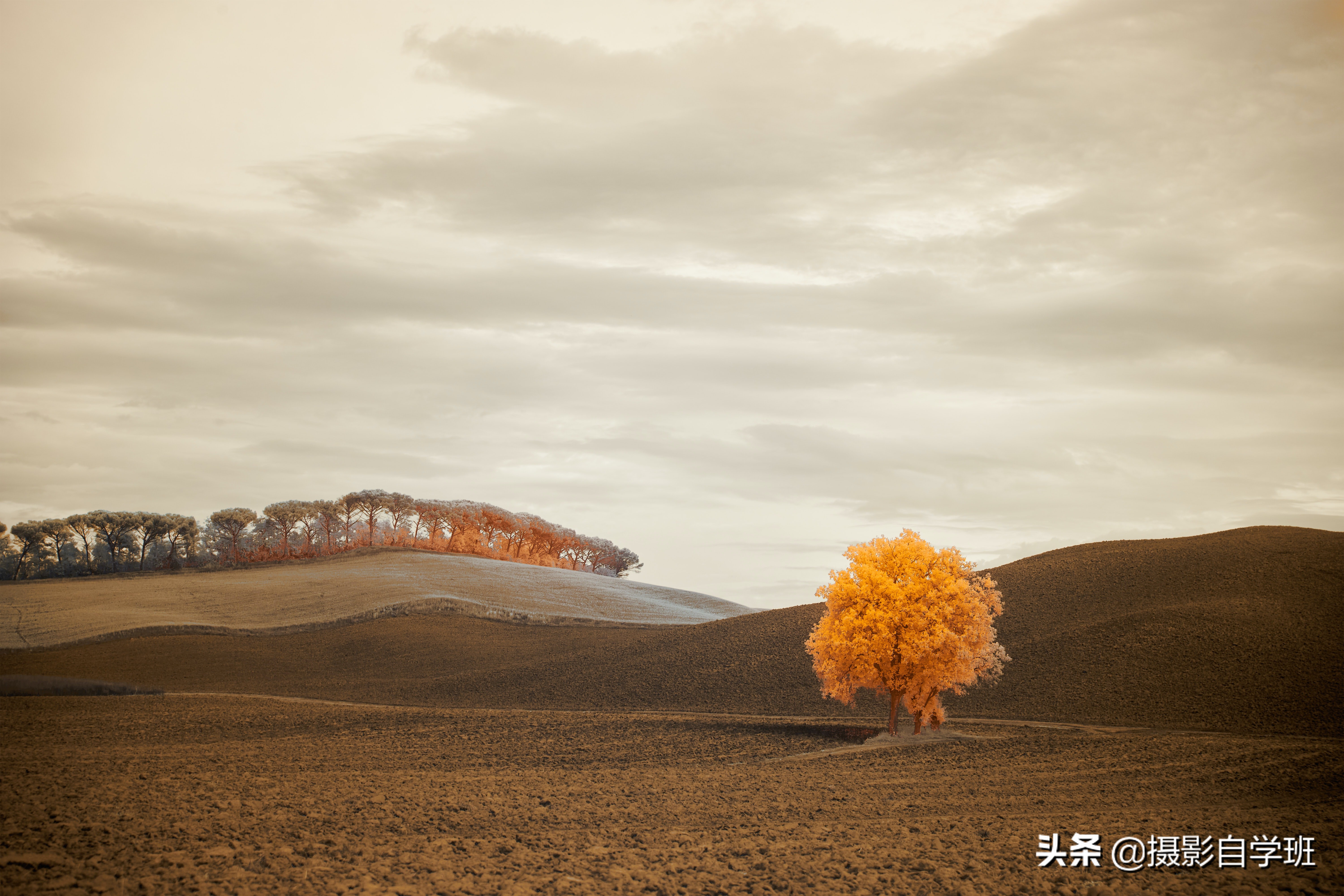 手机摄影拍出好照片11个诀窍,手机拍照有哪些思路