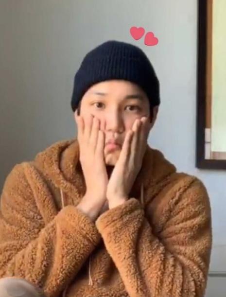 动物系内娱男爱豆,动物系爱豆完整版