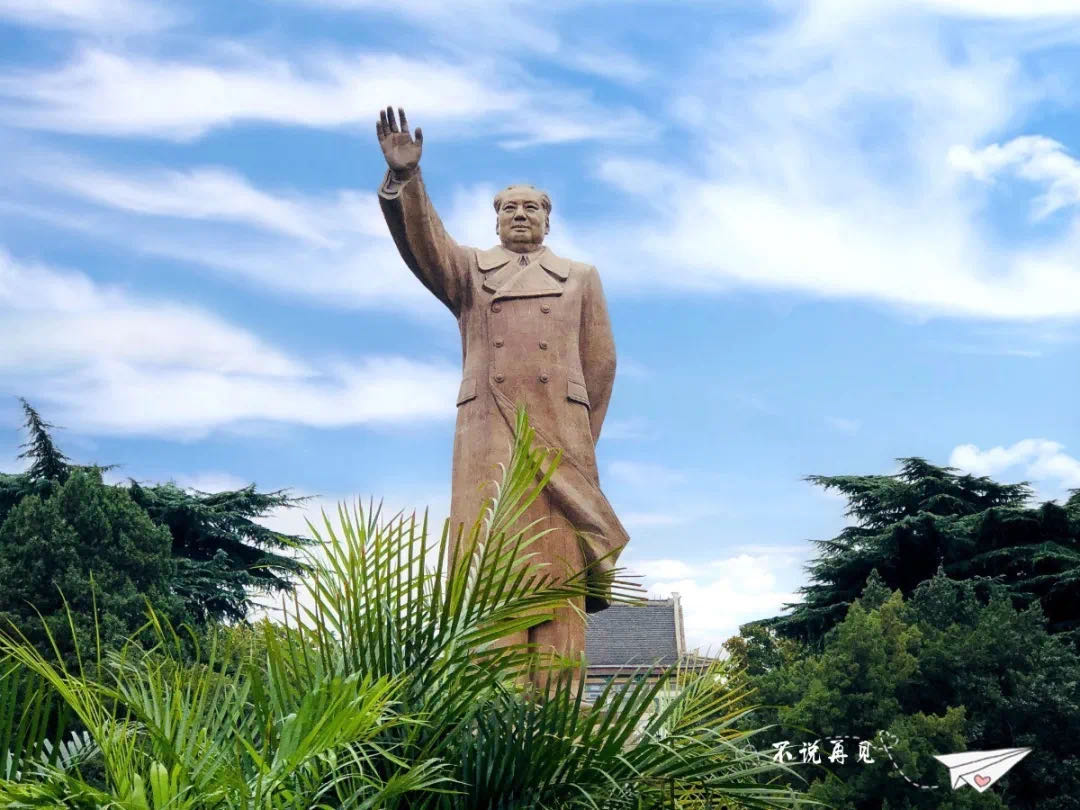 山东最年轻国际级裁判,山东省在册的国际级裁判