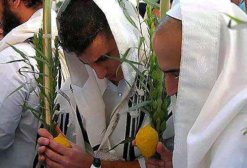 感恩节除了感恩还有什么？这个国家的习俗发人深省！