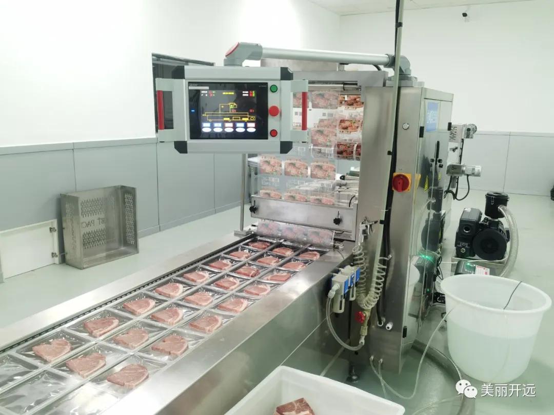 开远金凤凰,开远凤凰腾飞