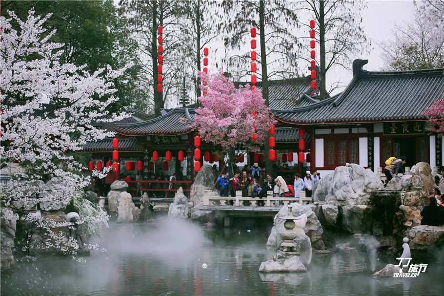 武汉东湖樱花园是世界几大樱花园,世界三大樱花园
