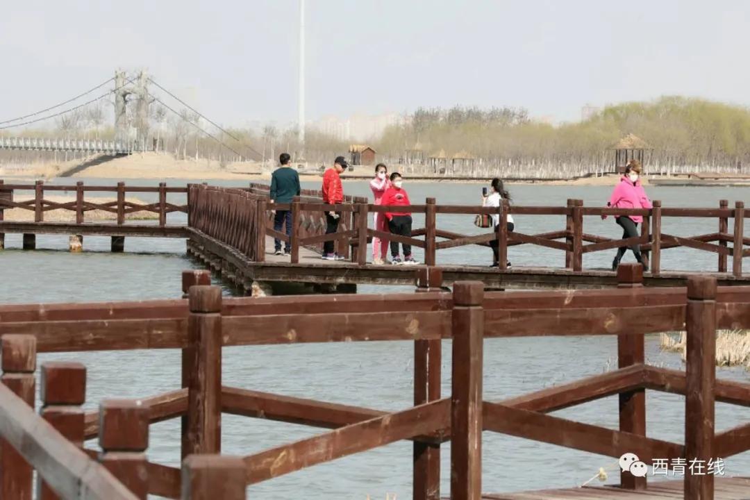 天津都有哪些公园随时免费开放,天津2022年四月开放的公园