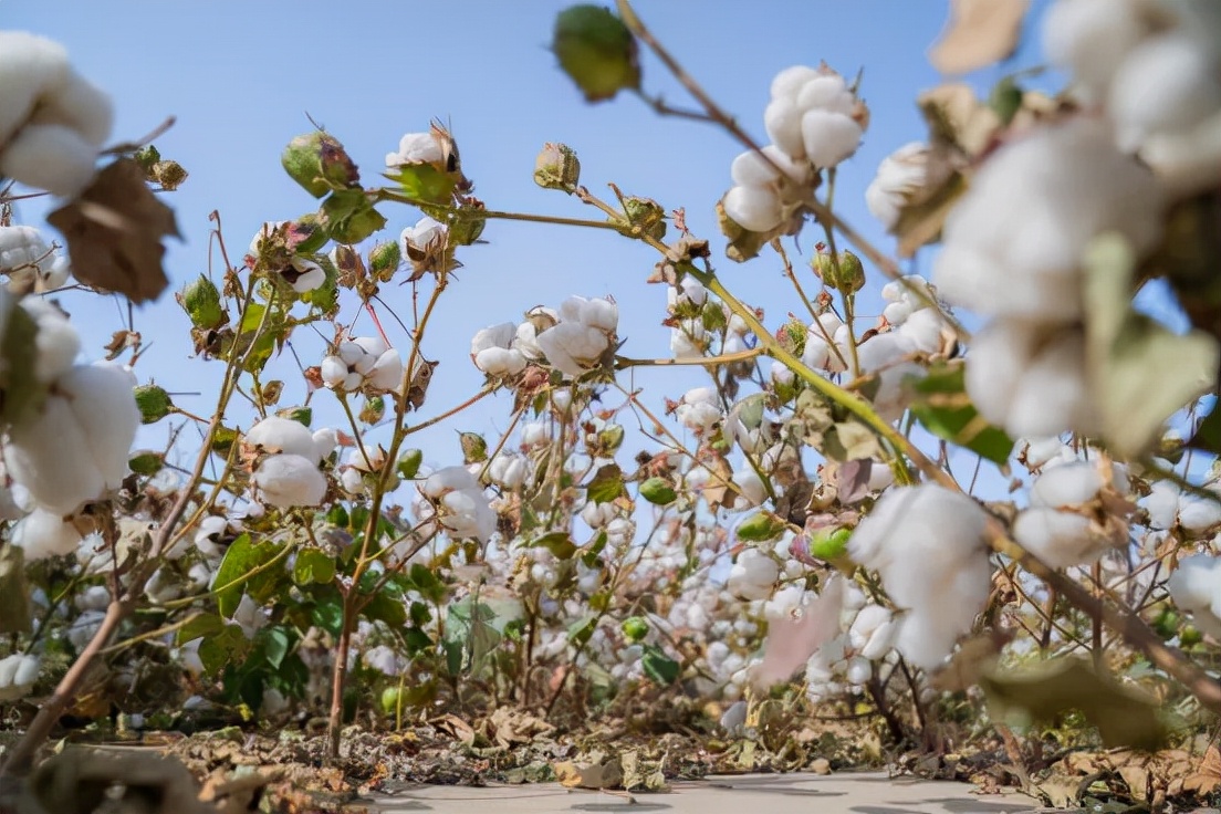 达人西游库尔勒,达人西游新疆