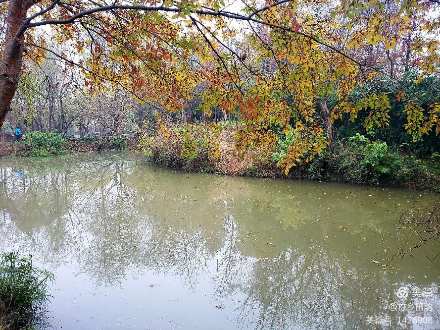 绝美西溪,西溪南冬季景色