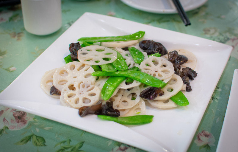 星湖冬日燃情，比落羽杉还要红的是什么？#我和湿地有个约会#