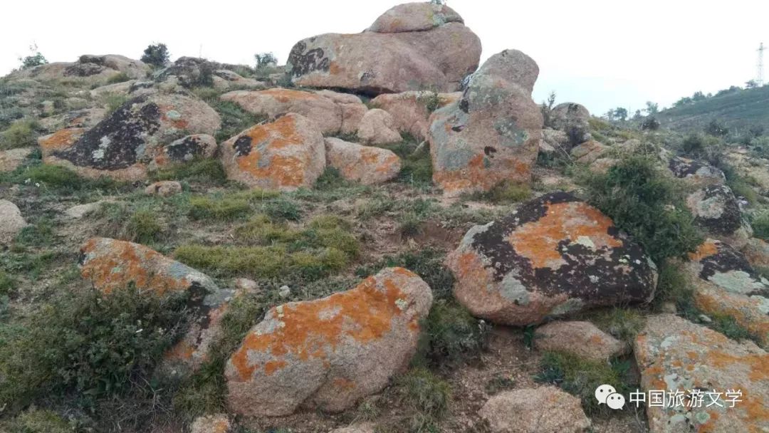 乌拉山大桦北,乌拉山大华北羊肉