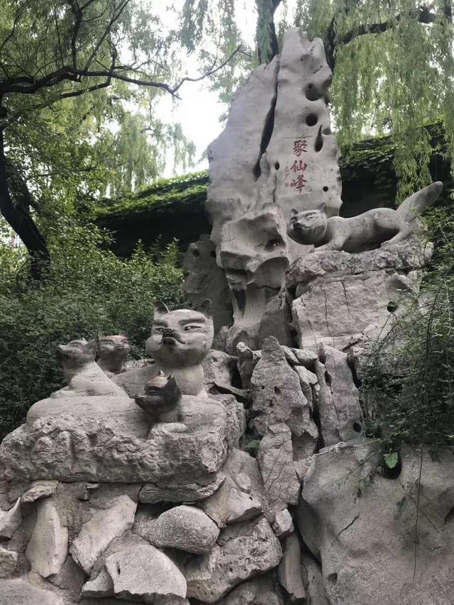 小学英语常考短语句型,小学1-6年级英语固定短语和句型