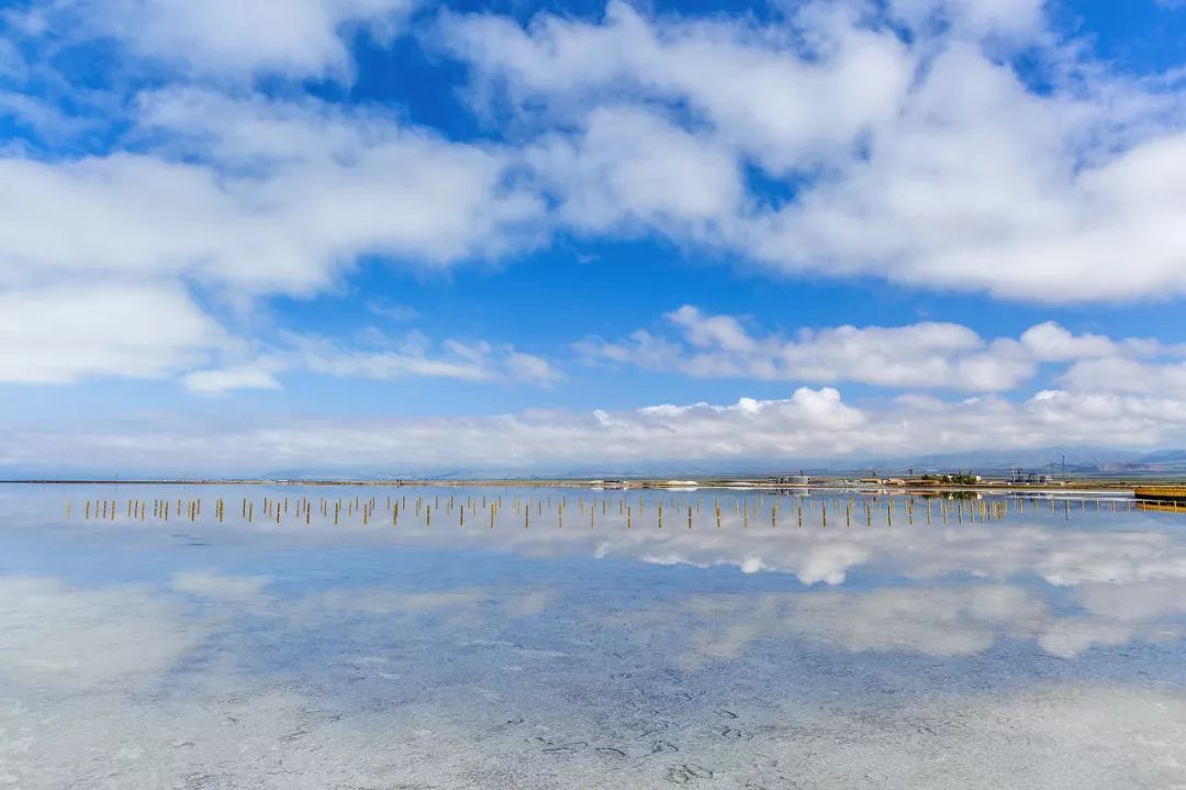 在最美的季节去了呼伦贝尔,一次浪漫的旅行呼伦贝尔