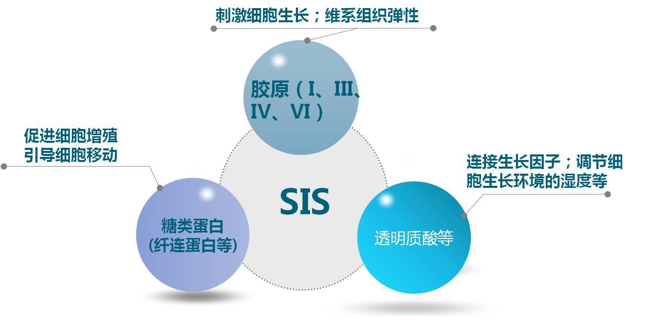 “表情纹杀手”来了，不磨皮轻松帮你hold住
