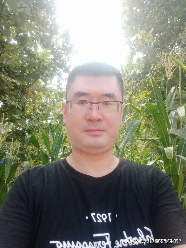 817肉鸡负压多少合适,817鸡棚夏天应该大负压还是小负压