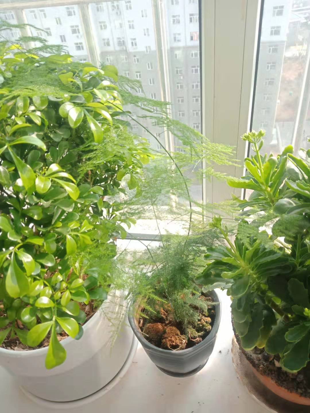 火山小视频怎么做到两个号,火山小视频到底按什么标准挣钱