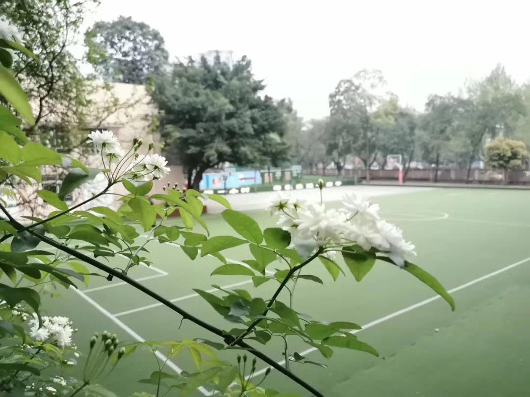 西南交大附属中学是重点还是普通,西南交大附属高中学校