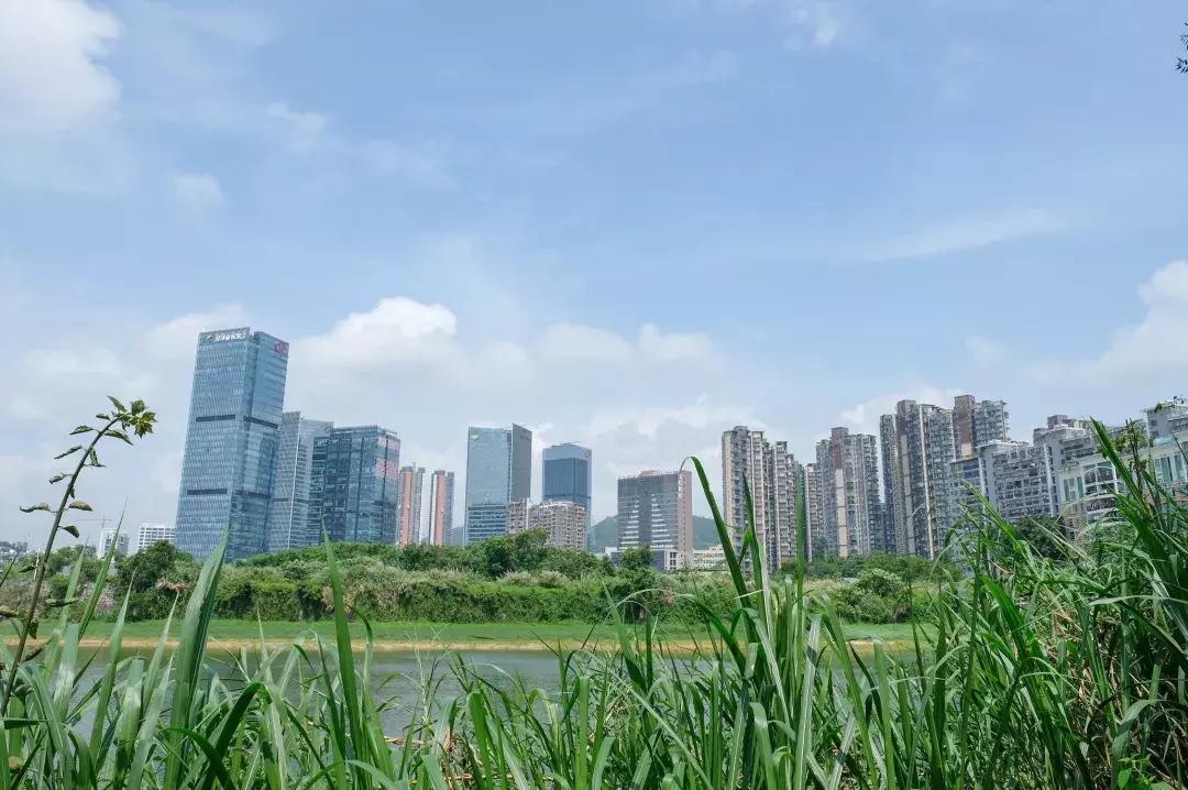 这里是观澜,下一站民治