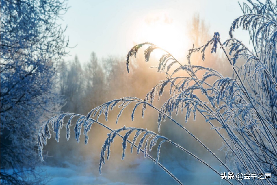 诵读国学传诵经典,关于国学经典传诵的视频