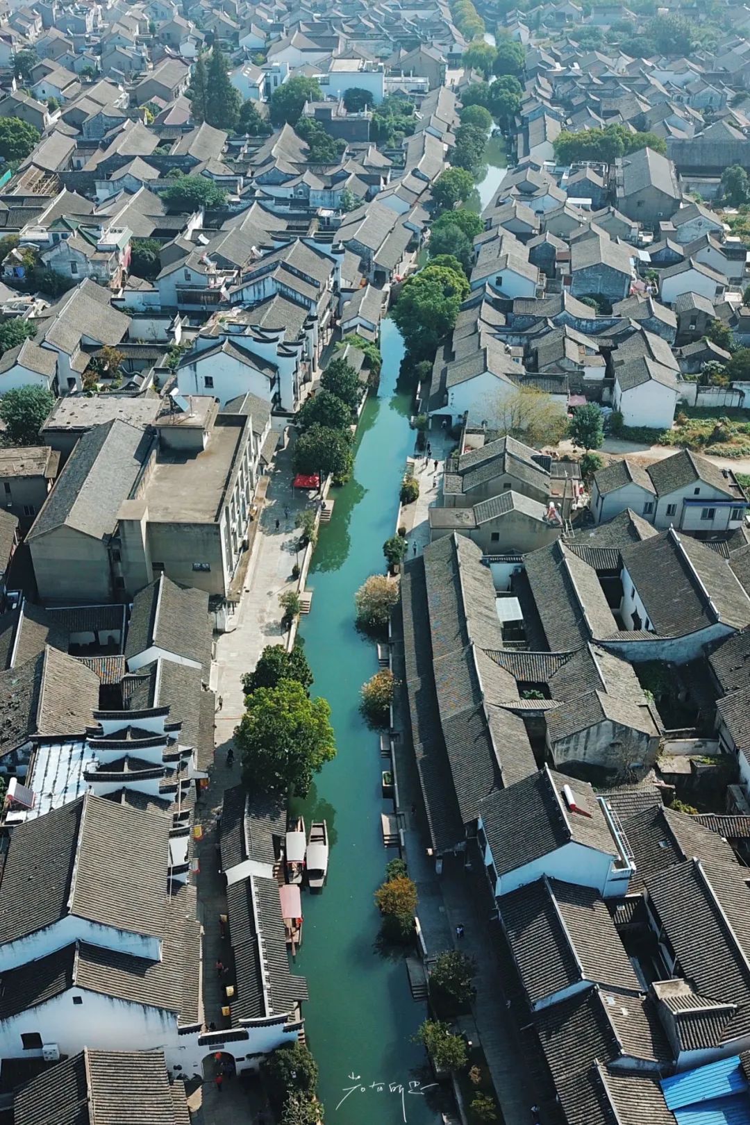 别再去西塘周庄挤了！苏州最有人间烟火气的古镇，假期依旧安静