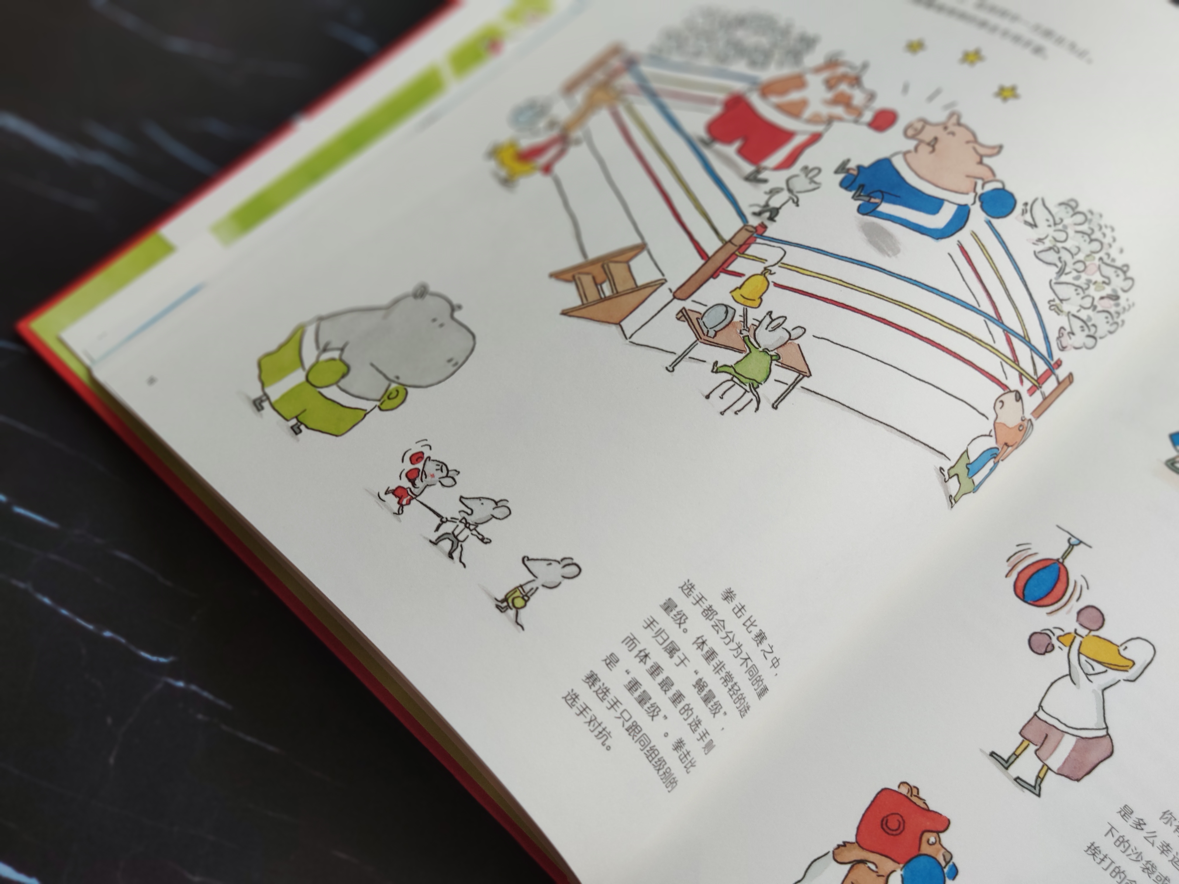 运动真奇妙幼儿器械,带孩子体验新的运动乐趣