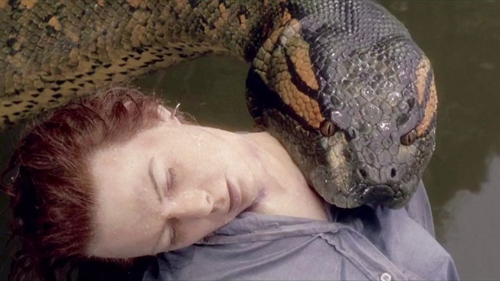 可怕40斤巨蟒藏天花板,吓人巨蟒