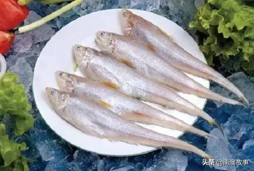 南澳渔民出海最常见的50种海鱼，都吃过，你就能退休了！