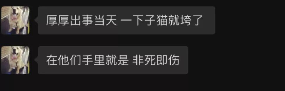 瀹犵墿鎵樿繍鍑轰簨婕敾,瀹犵墿鎵樿繍浜嬩欢鍚庣画婕敾