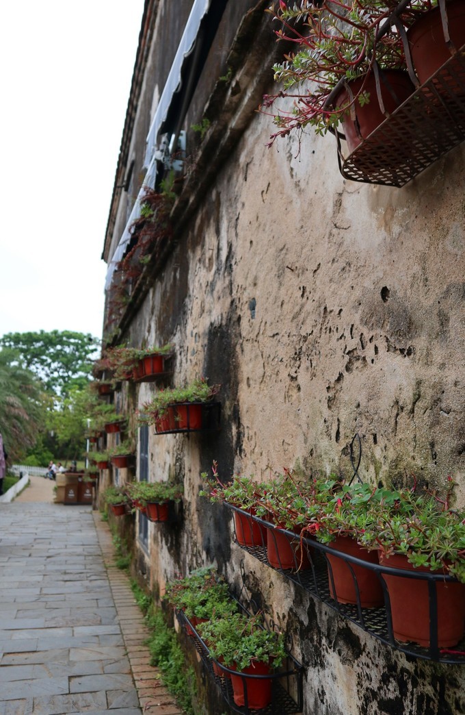 如约而至的涠洲岛,涠洲岛一生所爱