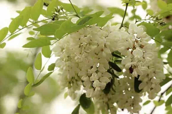 麟游旅游攻略一日游,宝鸡五一游攻略