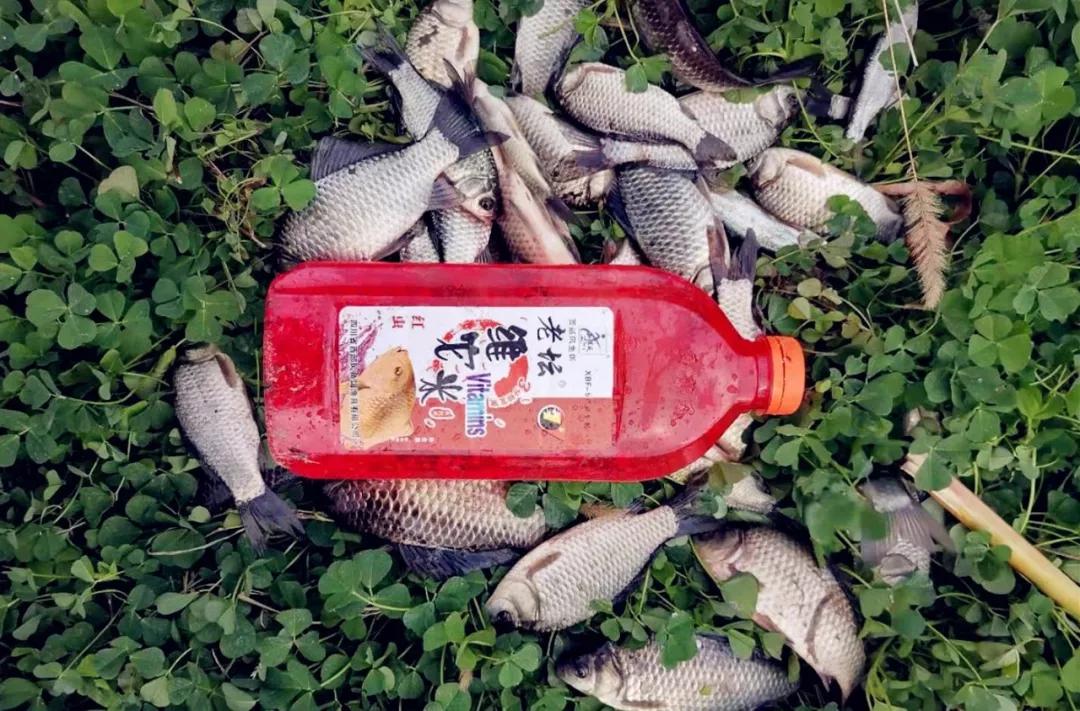 打窝以后抛竿抛不准,打窝后来鱼少是咋回事