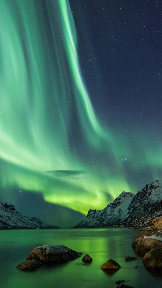 《道君》争榜：红尘过往，跃千愁也该坐一坐第一的宝座了！