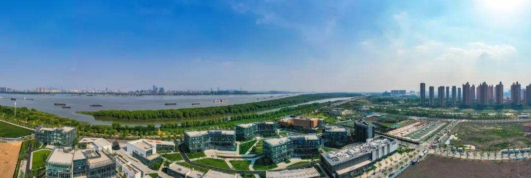 未来之城现状,雄安新区：未来之城拔节生长