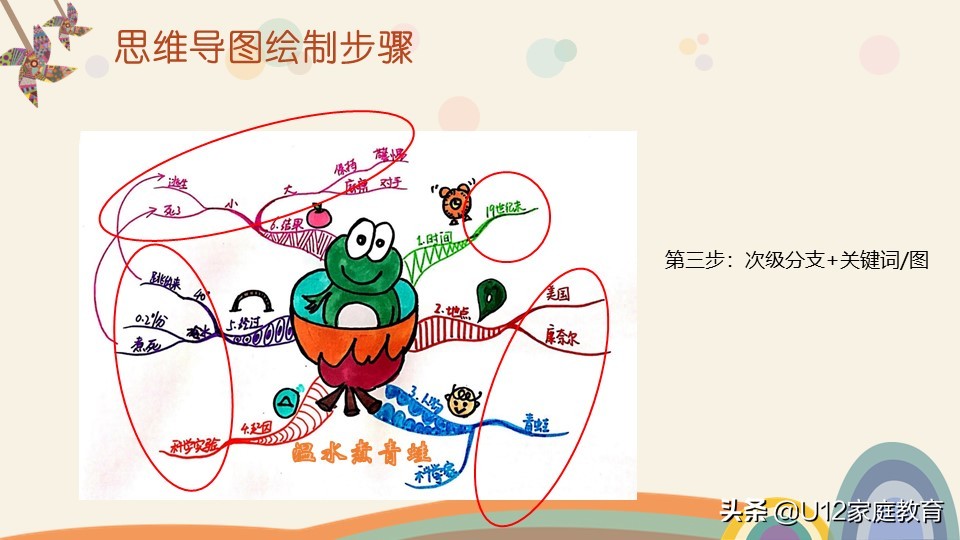怎么引导孩子学会画思维导图,怎样教会孩子画思维导图