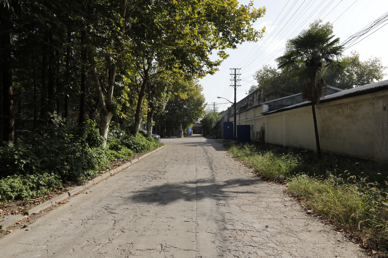 湖北省江汉棉纺织厂怎么样,武汉东西湖棉纺织厂梁冬芳