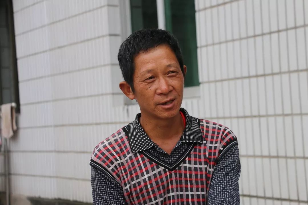 泸州老窖有机高粱种植基地,泸州老窖高粱种植基地