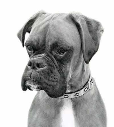 绱犳弿鍏ラ棬鍔ㄧ墿,绱犳弿鍔ㄧ墿瑙ｆ瀽