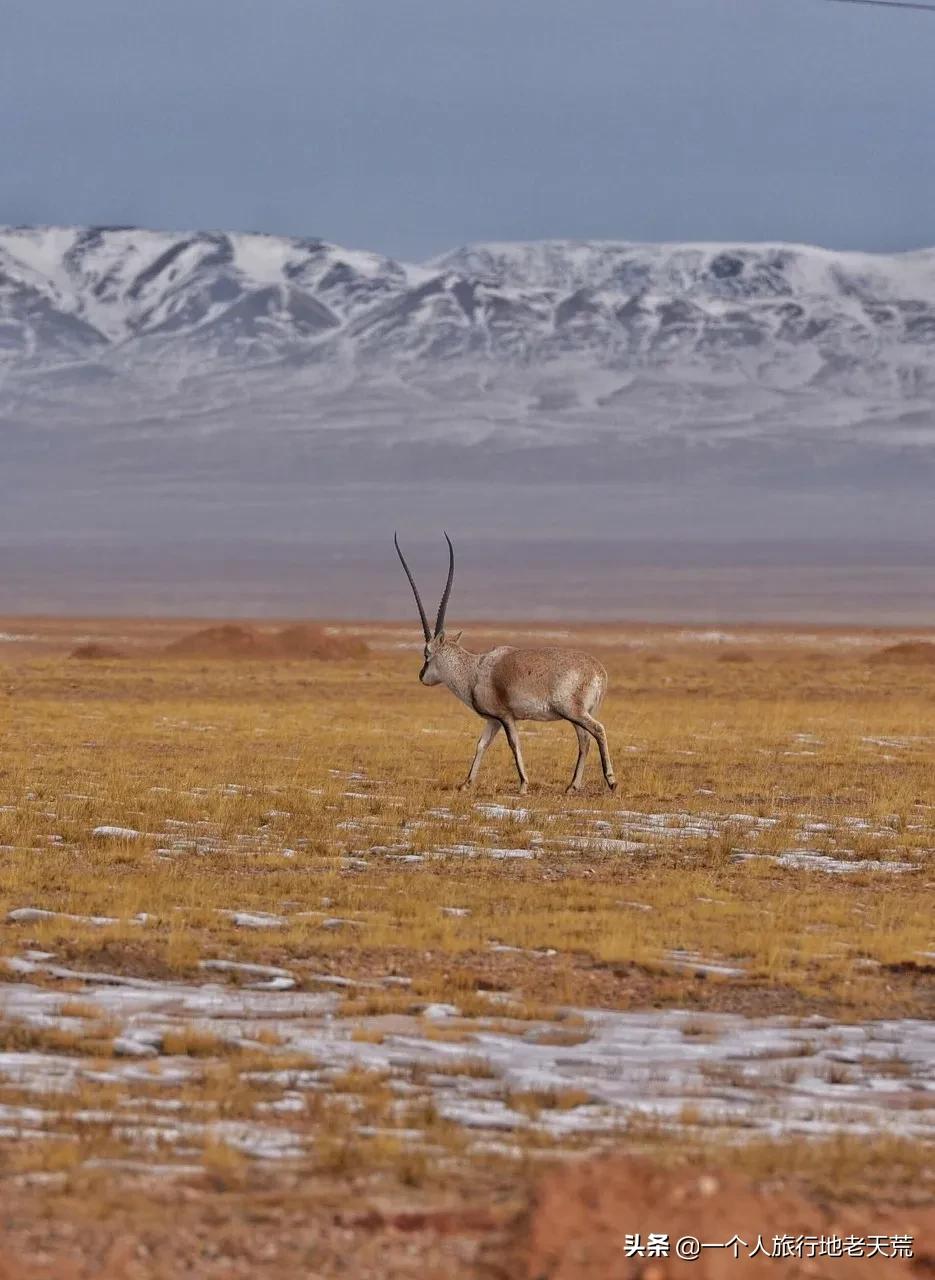 国内旅行必去的地方列表,国内必去的100个地方