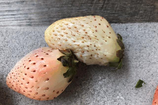 一下子吃了很多草莓,一下子吃了300g草莓