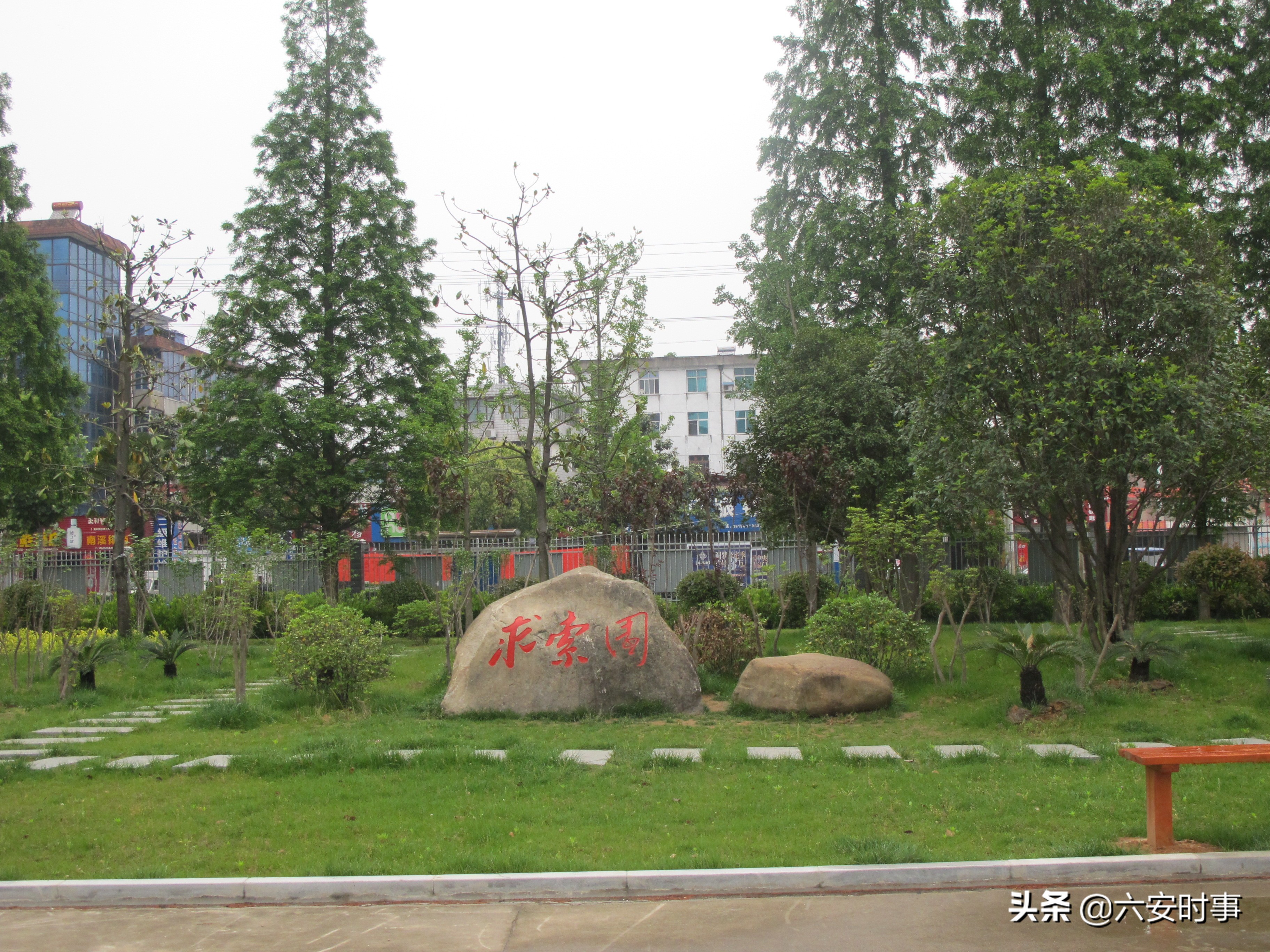 校园枝头春意浓,校园春意浓片段