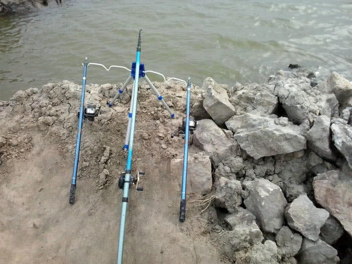 它一生只活一年，我们叫它“扔巴鱼”