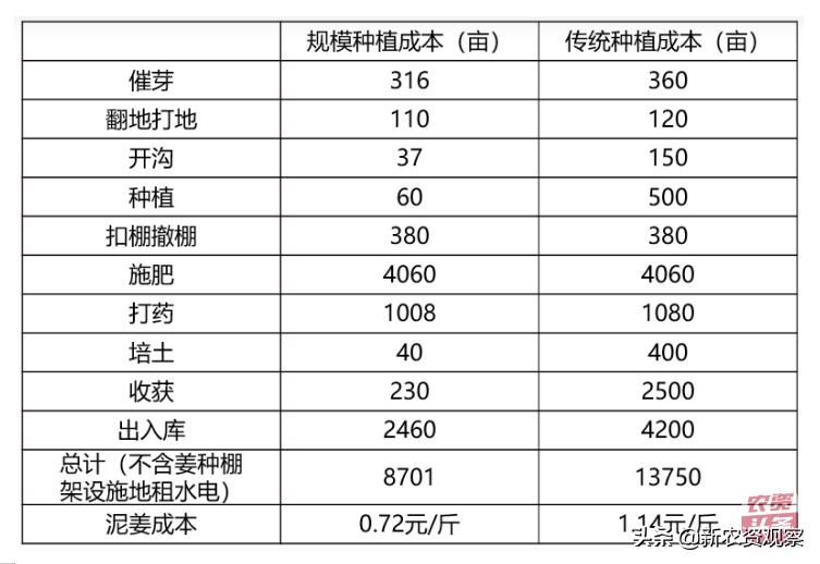 生姜栽培管理新技术,中国生姜栽培管理技术峰会