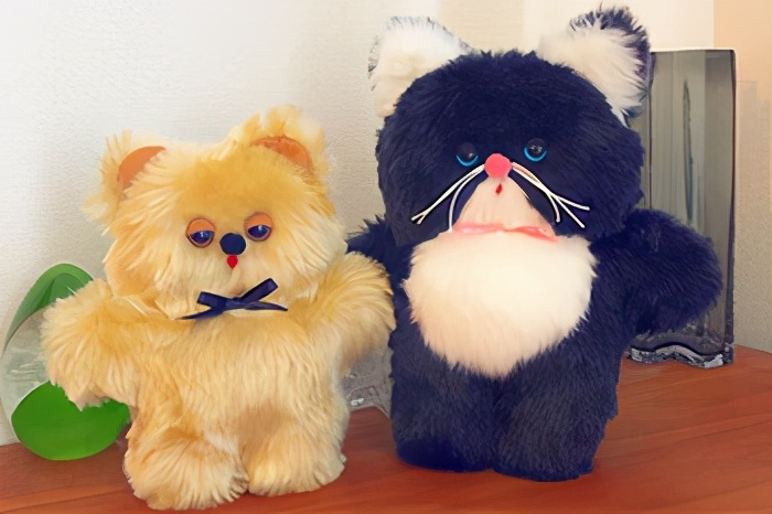 渡边有希美｜「日々猫々」与猫一起生活的日子