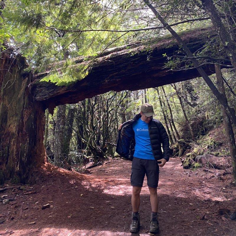 哥伦比亚冲锋衣测评可以上雪山吗,哥伦比亚冲锋衣绿色拼接